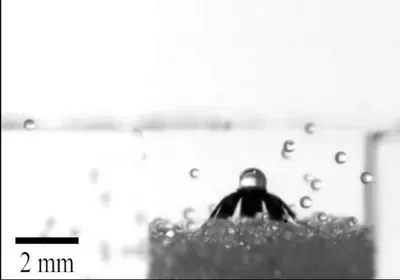 jellyfish robot soft body robotics swimming untethered burrowing carrying load